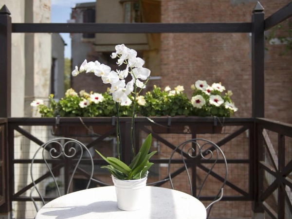 Hotel Campiello image 20